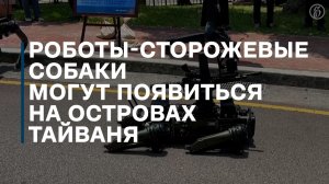 Роботы-сторожевые собаки могут появиться на островах Тайваня