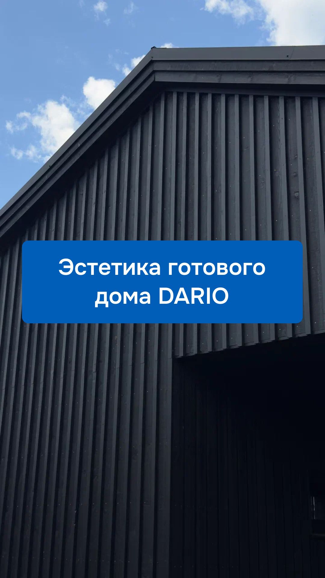 Черная эстетика в деталях  