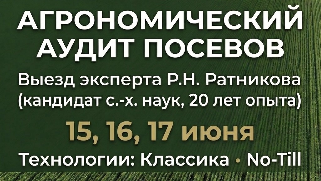 Агрономический аудит посевов. Как правильно перейти на технологию No-till? Консультация Ратникова Р.