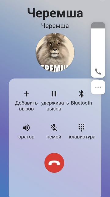 мне звонит ЧЕРЕМША в РЕАЛЬНОЙ жизни смотреть онлайн