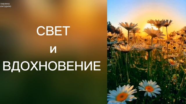ДОБРОЕ  ЛЕТНЕЕ  УТРО...
Первые лучи солнца...