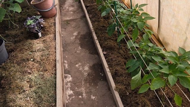 Странные люди, задают глупые вопросы. смотреть онлайн