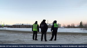 Купить, а не срубить. ТК «Первый Советский»