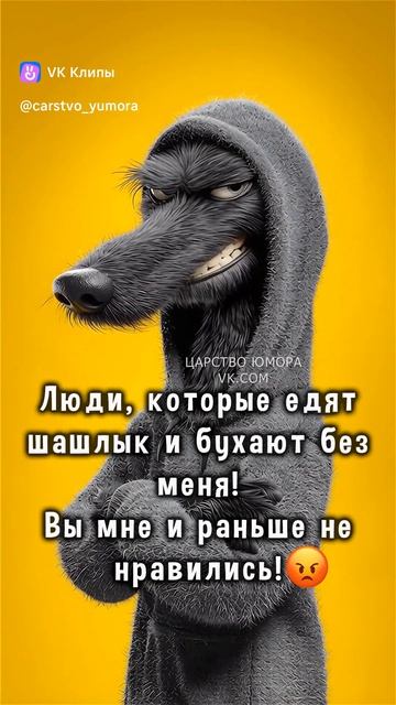 vkclips_20260602090424
