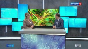 Россельхознадзор_Интервью Азаренко В.В._О фитосанитарной безопасности_ГТРК Томск_04.06.2026