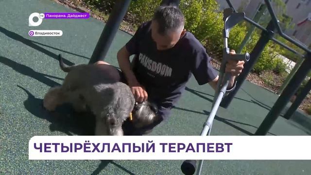 Во Владивостоке участники СВО проходят канистерапию - реабилитацию с помощью собак.