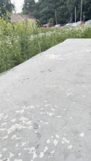 Ивангородская крепость на границе и кот