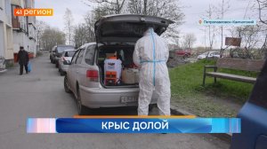 Новости Камчатки за 5 июня 2026 года