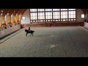 Гоша Кск звездный