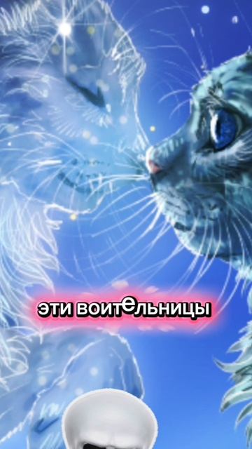 43427.mp4
