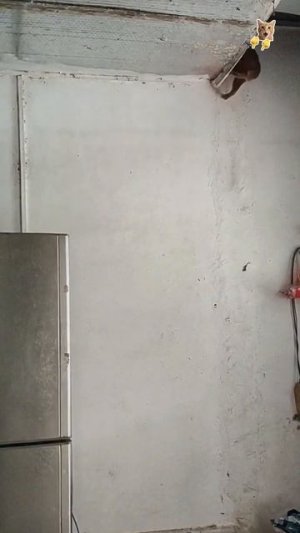 Самые крутые коты!😻Веселые котики. Коты хулиганы! Невероятные трюки! #кот #хулиг #трюк #смех #short