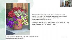 Красивая дача. Урок 54 5.6 10:00