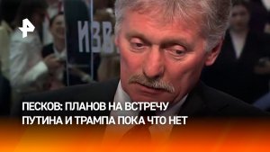 Планов по встрече Владимира Путина и Дональда Трампа в ближайшее время нет — Дмитрий Песков