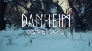 Воины Одина - Ulfhednar