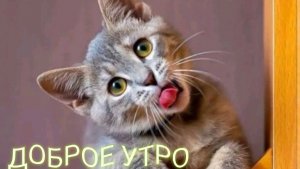 С добрым утром пятницы! Красивая музыкальная открытка.