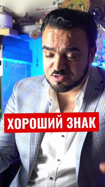 Приметы: если прилетел голубь?
