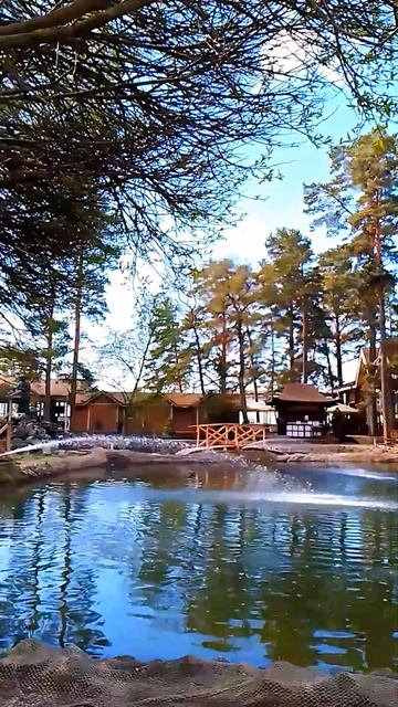 Ресторан "Русская рыбалка" в Комарово. #travel