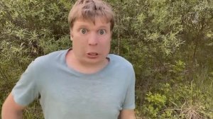 смотрю ракцю молла опасный вирус 3 часть