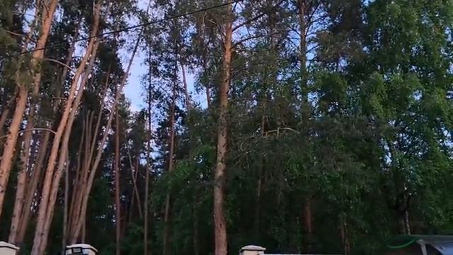 НЕМНОГО О МАГИИ смотреть онлайн