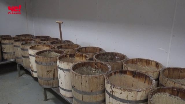 Экскурсия на Рижский хлеб смотреть онлайн