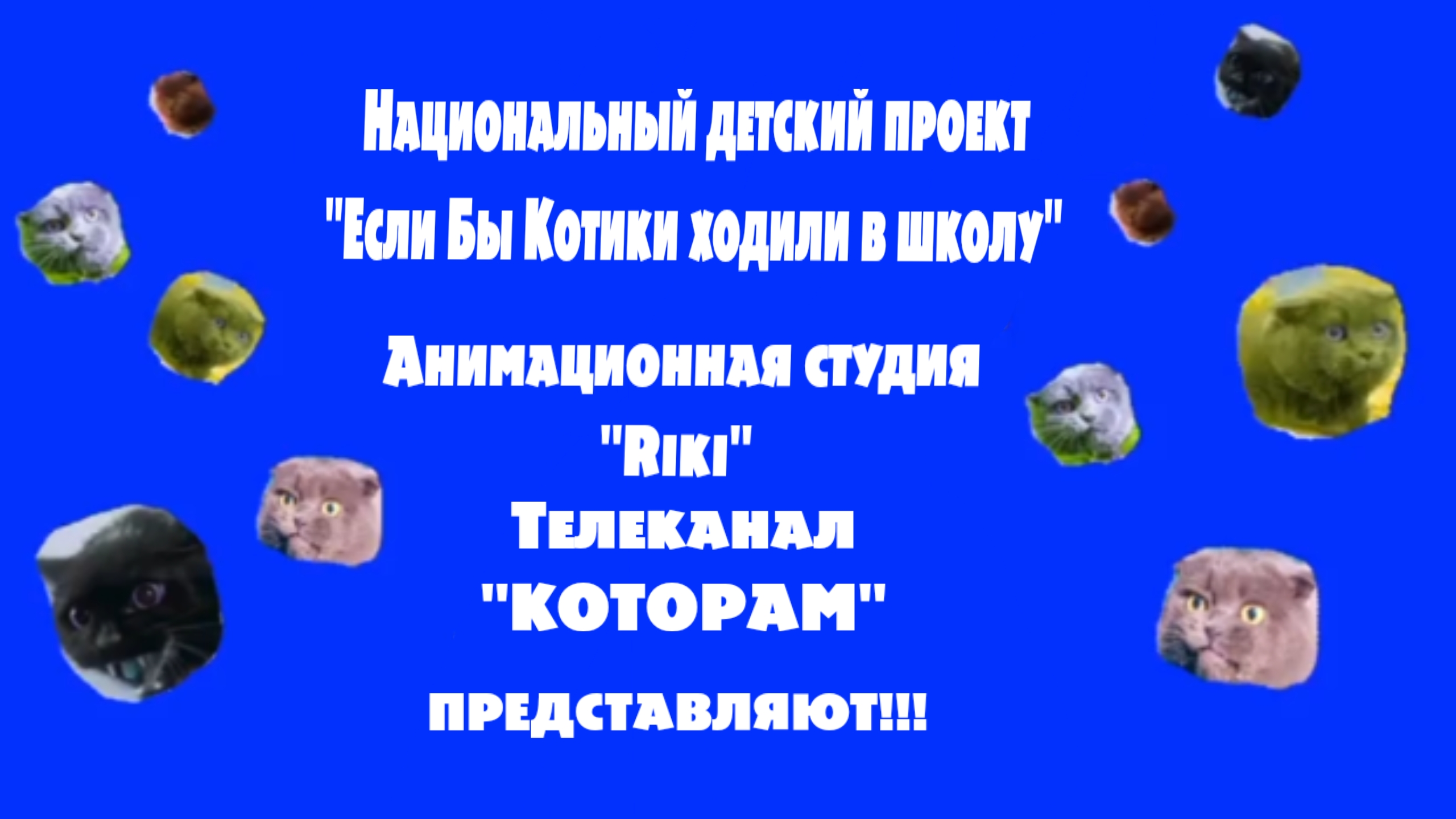 kotinet_incident_broshennaya_kotoram_??_06_2026
