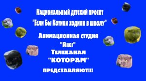 kotinet_incident_broshennaya_kotoram_??_06_2026