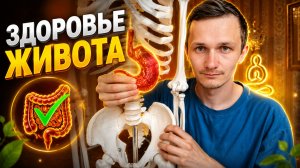РЕФЛЮКС, ИЗЖОГА, ЗАСТОЙ ЖЕЛЧИ? Как мы работаем с этим на курсе ЗДОРОВЬЕ ЖИВОТА
