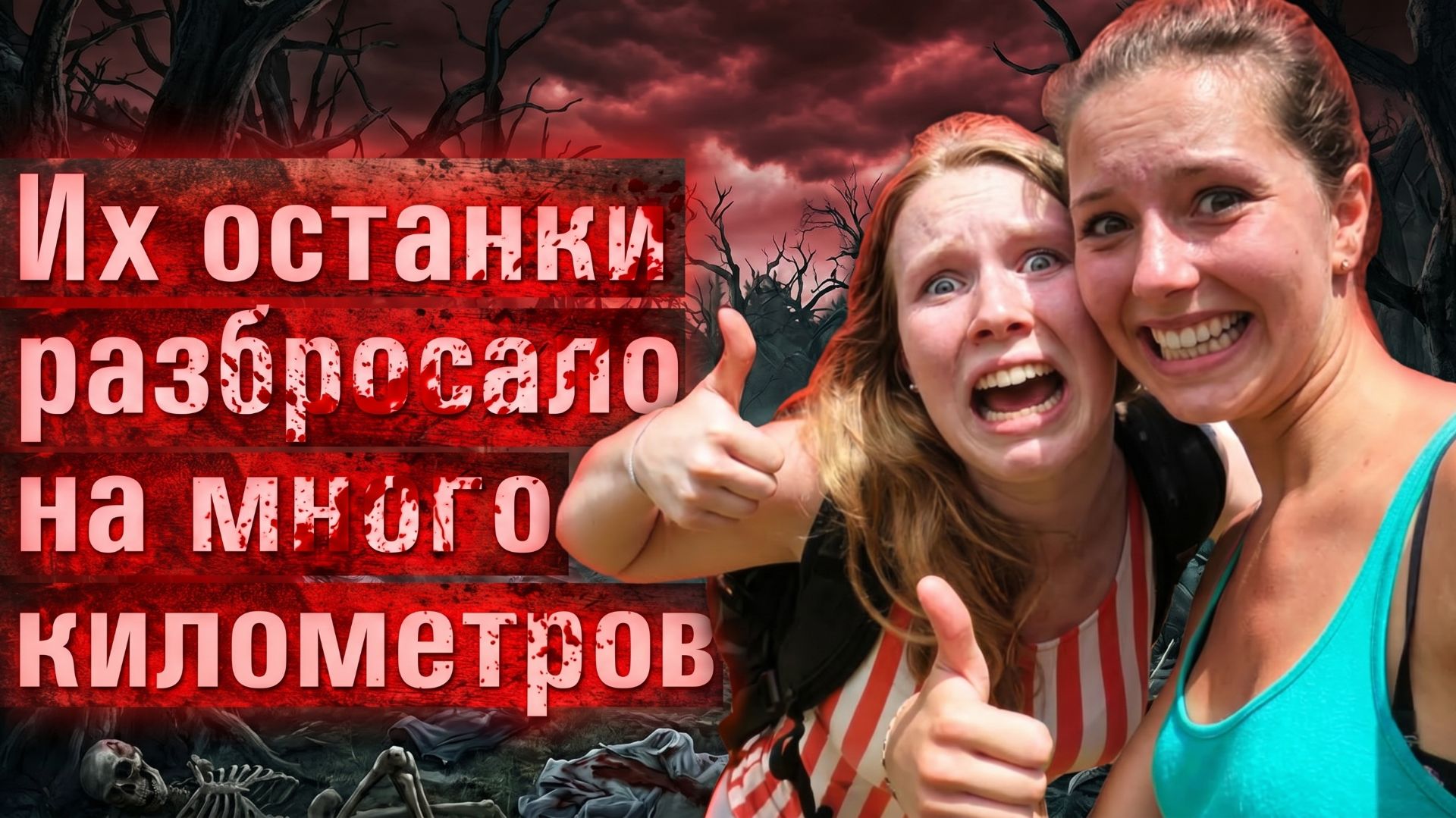 Дело раскрыто - История Крис Кремерс и Лисанн Фрон — часть 4 смотреть онлайн