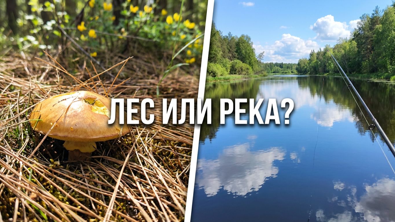 Ранние маслята, река и удочка. Идеальный весенний день в лесу