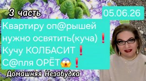 3 часть. Квартиру оп@рышей нужно освятить(куча)❗️Гаврилу колбасит❗️С@пля ОРЁТ🤯❗️