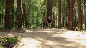 В Дедовске продолжается работа по благоустройству лесопарка «Массовка»