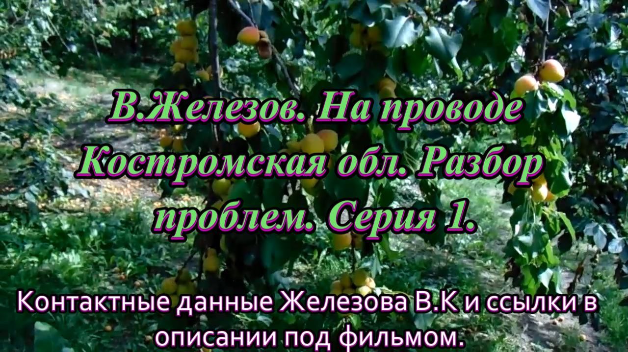В.Железов. На проводе Костромская обл. Разбор проблем. Серия 1.