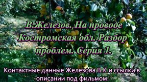 В.Железов. На проводе Костромская обл. Разбор проблем. Серия 1.