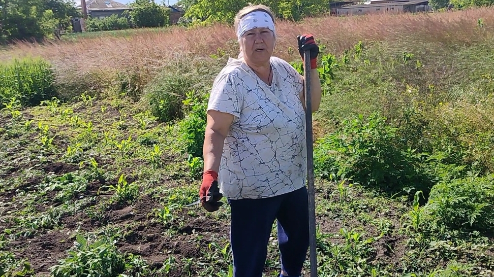 Трава, цветы, наша жизнь. Мысли вслух. Жизнь на пенсии. смотреть онлайн
