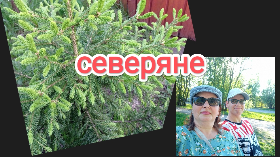жизнь на крайнем севере/а у нас во дворе смотреть онлайн