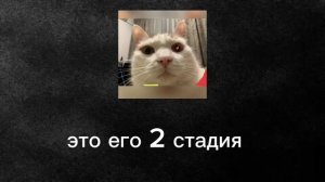 вирус