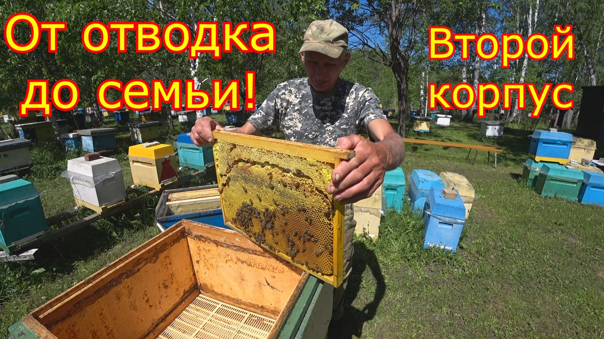 От ОТВОДКА до СЕМЬИ! РАСШИРЕНИЕ, ставим вторые корпуса! смотреть онлайн
