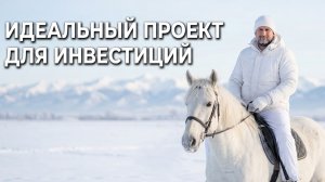 Про идеальный проект, которому точно дадут денег