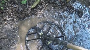 Разведка Золотоносного ручья металлоискателем!