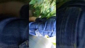 как я был на трубах :] 1 ЧАСТЬ