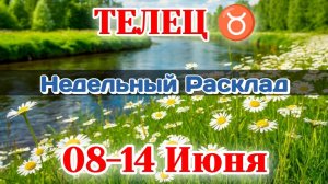 ТЕЛЕЦ ♉ Недельный расклад 08-14 ИЮНЯ/Таро Прогноз/Сферы жизни