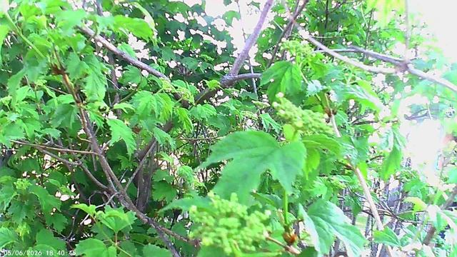 1000029322.mp4