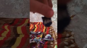 РАСПАКОВКА АМ НЯМОВ 1 часть