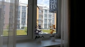 Ловко мужчина устроился