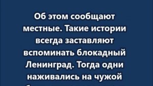 В Крыму перекупщики продают бензин уже по 250 рублей за литр