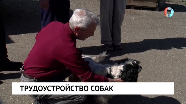 Новости от 04.06.2026