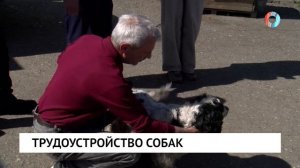 Новости от 04.06.2026