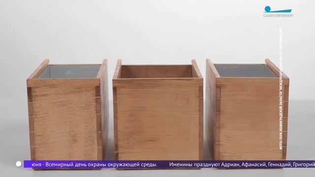 Тайник Ганнибала: какой секрет хранился в шкатулке прадеда Пушкина