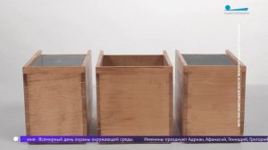 Тайник Ганнибала: какой секрет хранился в шкатулке прадеда Пушкина