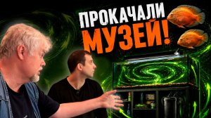 Аквариумные истории из ЭКЗОМЕНЮ (05.06.2026). Как отфильтровать аквариум на 700 литров?